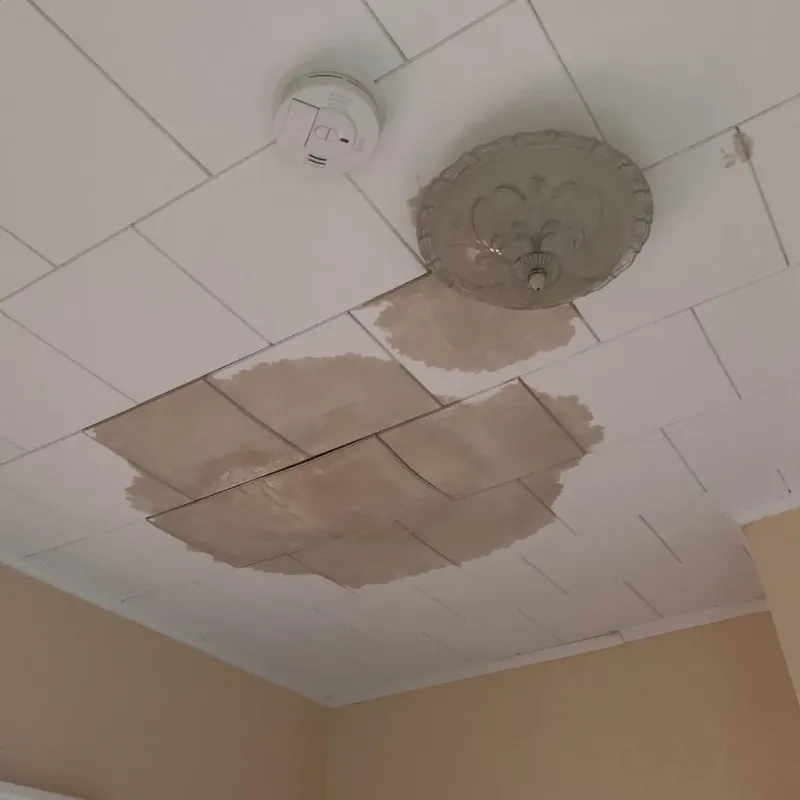 Ceiling Water Damage Repair in Jerome, PA