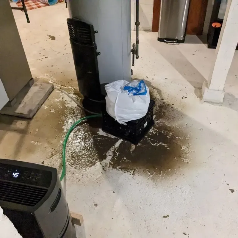 Sewage Backup Cleanup Service in Jerome, PA
